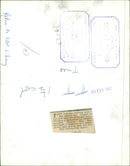 Animals: Mouse - Vintage Photograph