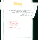 Animals: Monkey - Vintage Photograph