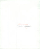 Animals: Koala Bears: Helen Shaw - Vintage Photograph