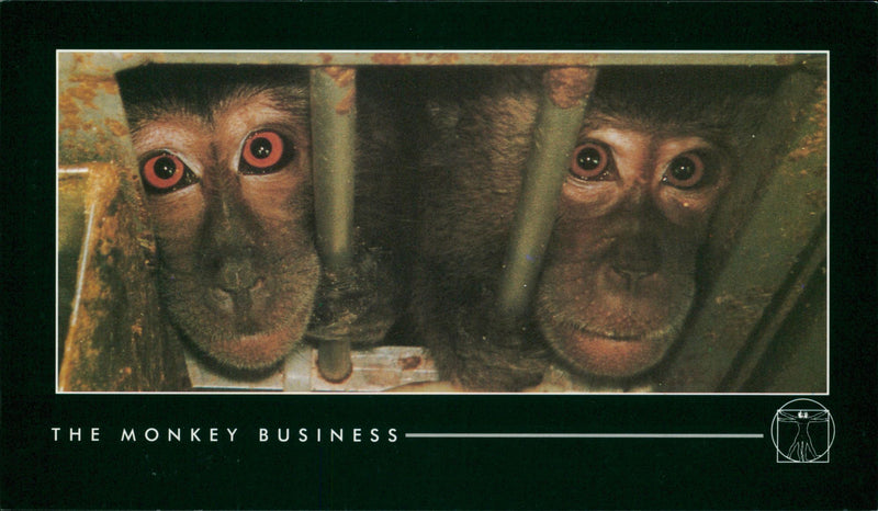 The monkey business. - Vintage Photograph
