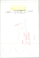 Rabbit. - Vintage Photograph