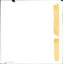 Animals: Squirrel Monkey - Vintage Photograph