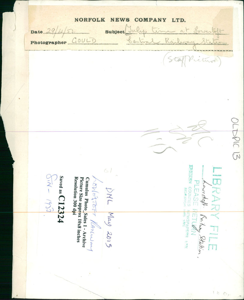 Tulip time at Lowestoft Central Railway Station. - Vintage Photograph