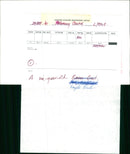 Birds - Vintage Photograph