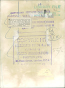 The lion. - Vintage Photograph