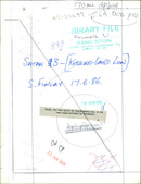 The lion. - Vintage Photograph