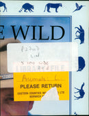 A lion. - Vintage Photograph