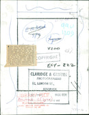 Eurasian lynx. - Vintage Photograph