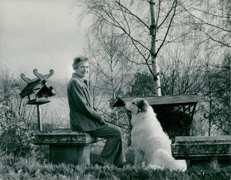 BUT SURE TABLE MOST BIRD DOG DINING ANIMAL NATURE AND - Vintage Photograph