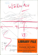 WILDLIFE - Vintage Photograph