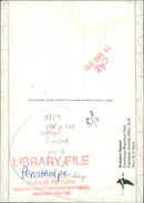 SUMMER SUNSET WITH WILD LIFE - Vintage Photograph