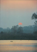SUMMER SUNSET WITH WILD LIFE - Vintage Photograph