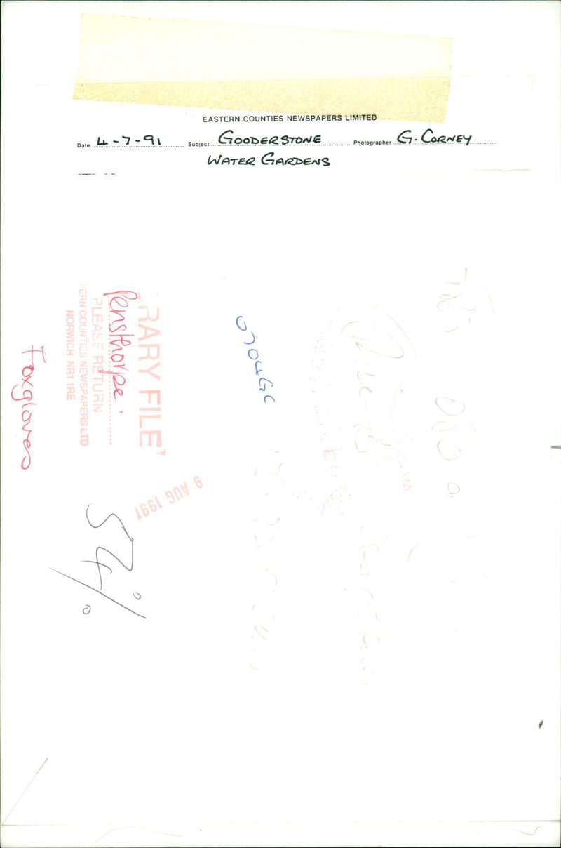 GODERSTONE WATER GARDENS - Vintage Photograph