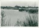 Pentney: Landscaped Gravel Pit - Vintage Photograph