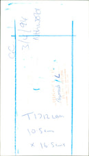 Animals: Llama - Vintage Photograph