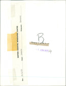 Animals: Lemurs - Vintage Photograph