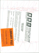 Animals: Lions - Vintage Photograph