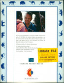 Animals: Lions - Vintage Photograph