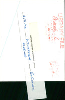 Animals: Llama - Vintage Photograph