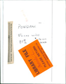 Animals: Llamas: Bruce Wright - Vintage Photograph