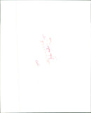 Animals: Tiger - Vintage Photograph