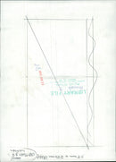 Animals: Tiger - Vintage Photograph