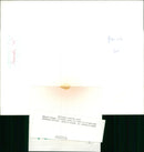 Animals: Whales - Vintage Photograph