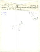 Animals : Wallaby - Vintage Photograph