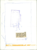 Animals : Baby Wallaby With His Mother - Vintage Photograph