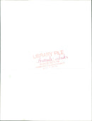 Animals : Dolphins and Whales - Vintage Photograph