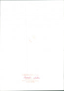 Animals : Whale - Vintage Photograph