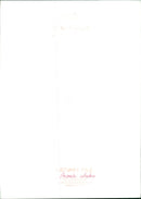 Animals : Whale - Vintage Photograph