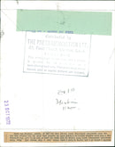 Animals : A Baby Whale - Vintage Photograph