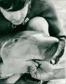 Animals : A Baby Whale - Vintage Photograph
