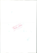 Animals : Stranded Whales - Vintage Photograph