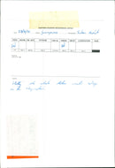 Animals : Molly the Whale - Vintage Photograph