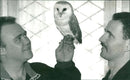 Birds : The Barn Owl - Vintage Photograph