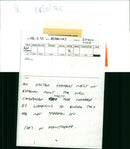 Birds : An Oyestercatcher's nest - Vintage Photograph