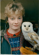Birds : Owl - Vintage Photograph