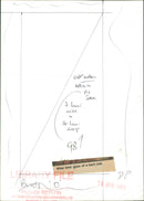 Birds : Barn Owl - Vintage Photograph