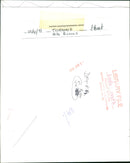 Birds : Snowy Owl - Vintage Photograph