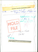 Birds : Snowy Owl - Vintage Photograph