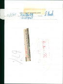 Birds - Vintage Photograph