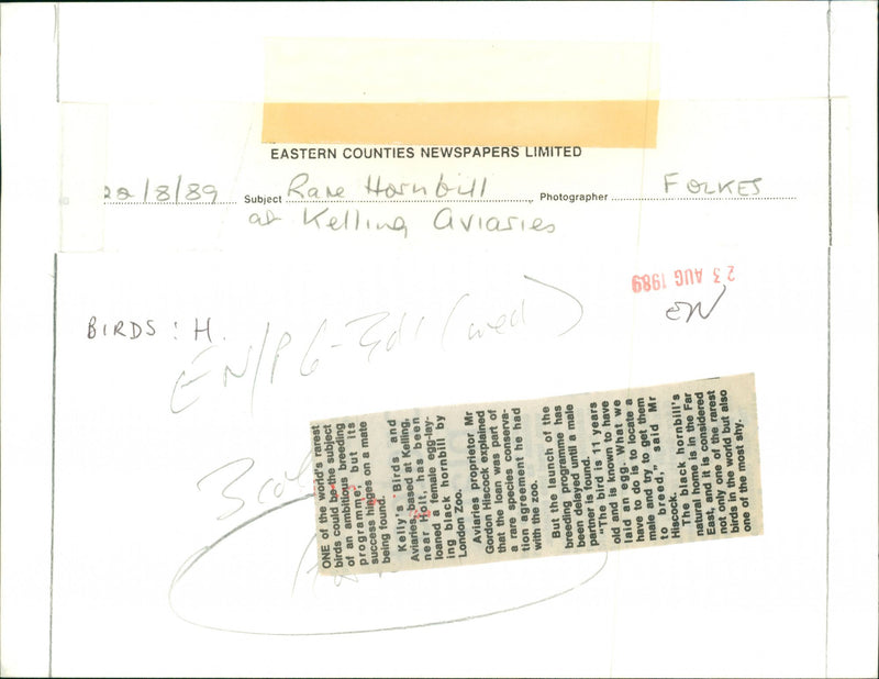 Birds - Vintage Photograph