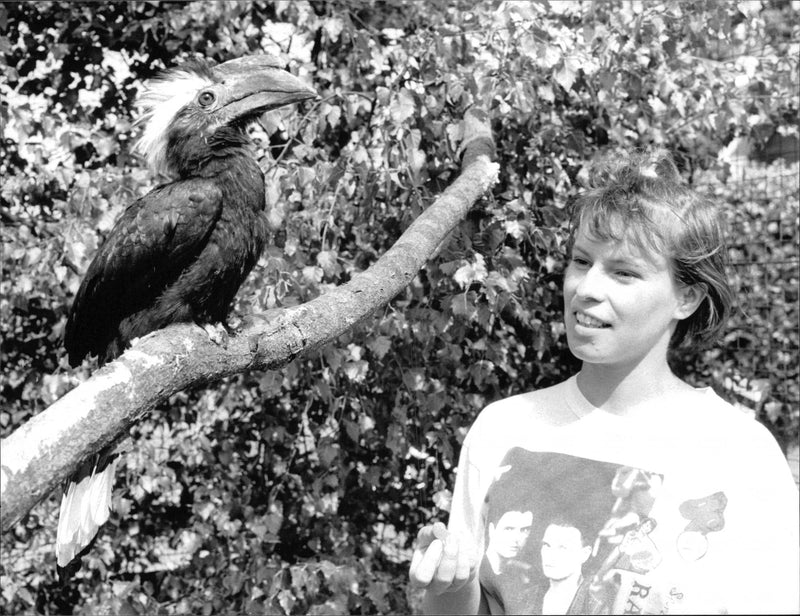 Birds - Vintage Photograph