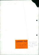 Dogs - Vintage Photograph