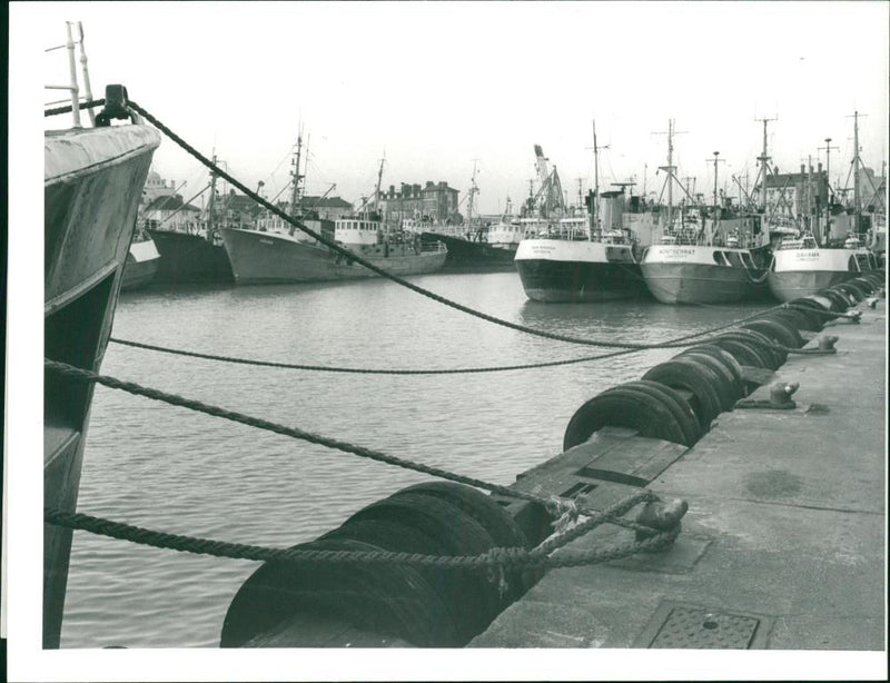 TRAWLERS AND RIG STAND-BY SHIPS BERTHED IN THE TRAWL BASIN. - Vintage Photograph