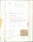 Animals - Vintage Photograph