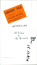 Animals - Vintage Photograph