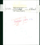 Animals - Vintage Photograph